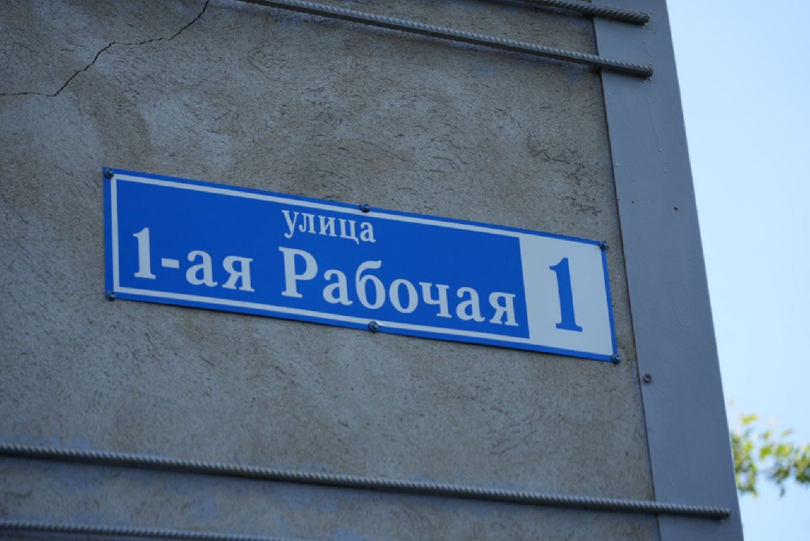 Сергиев Посад, Сергиево-Посадский городской округ, Животные, Собака, МЧС, Спасатели, 112, Добрые дела, Чудо, Доброе