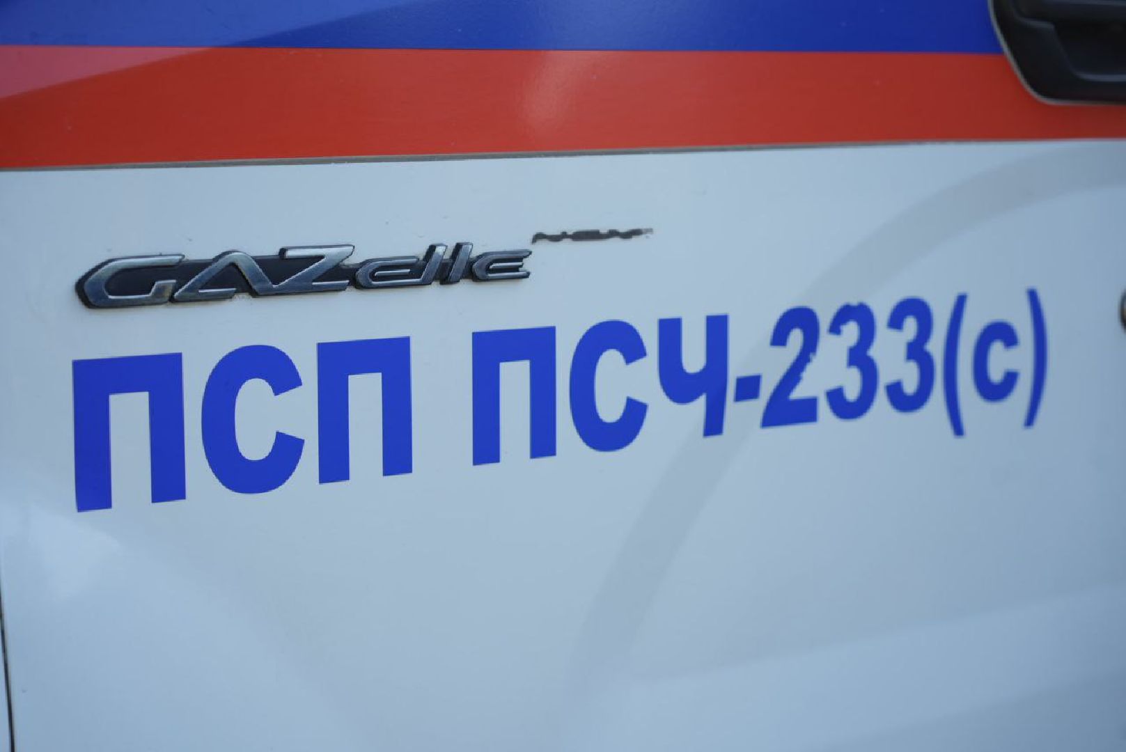 Сергиев Посад, Сергиево-Посадский городской округ, Животные, Собака, МЧС, Спасатели, 112, Добрые дела, Чудо, Доброе