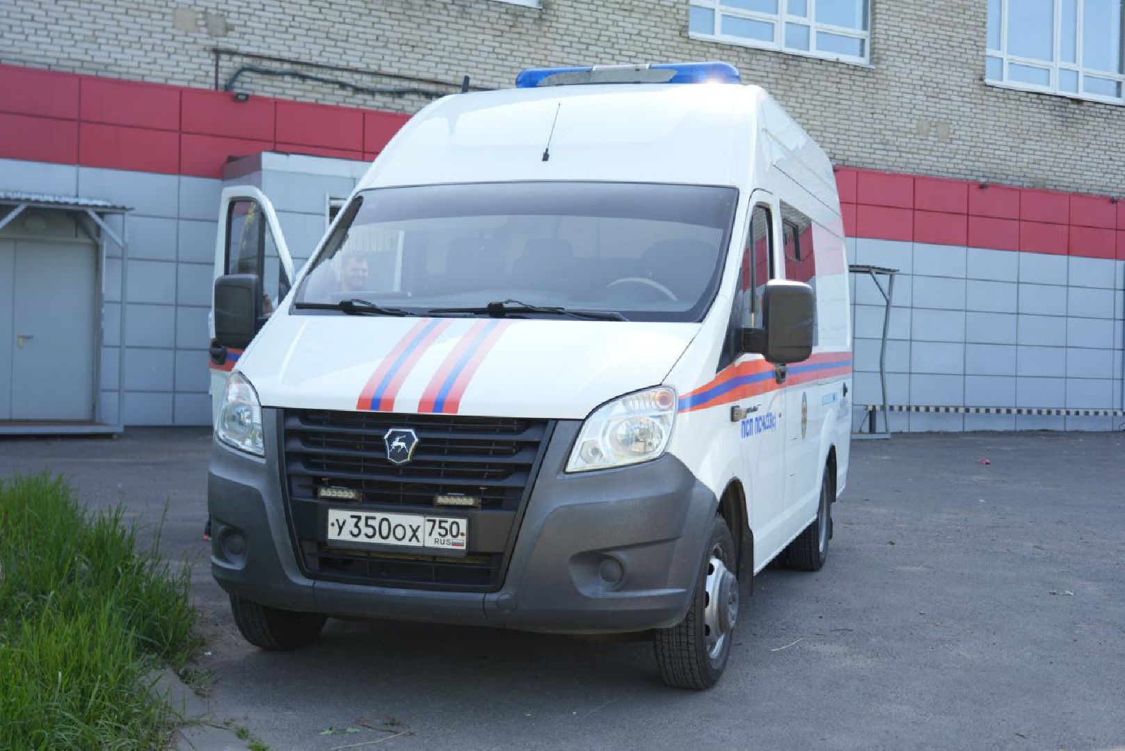 Сергиев Посад, Сергиево-Посадский городской округ, Животные, Собака, МЧС, Спасатели, 112, Добрые дела, Чудо, Доброе