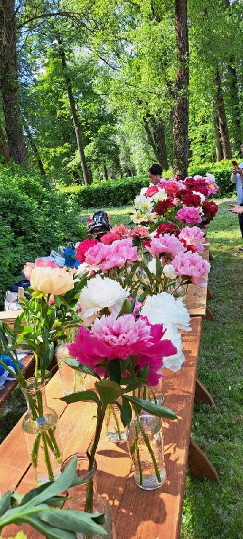 Чехов, культура, Мелихово, Пиономания, пион, фестиваль, цветы