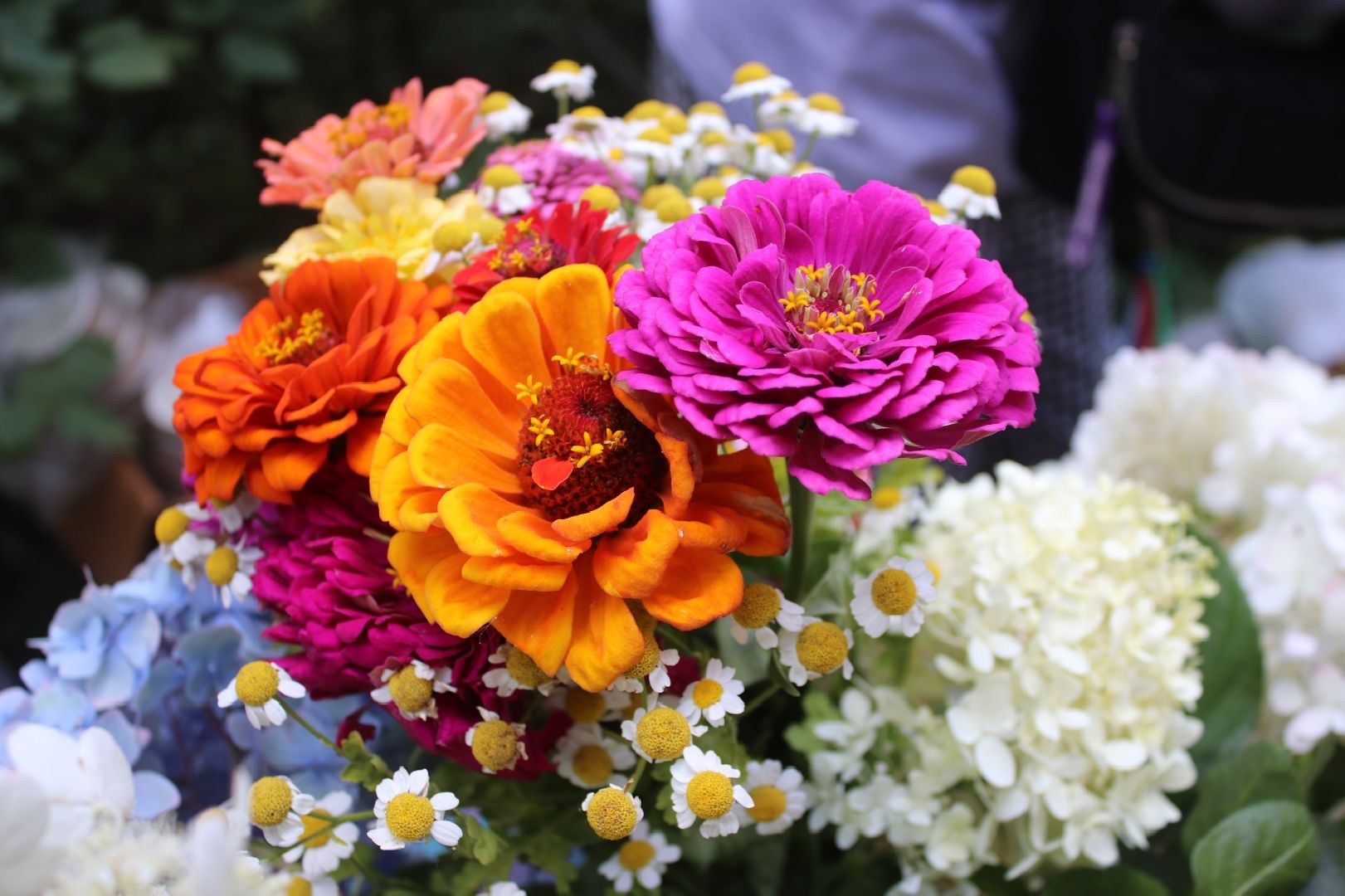 Пионовый, фестиваль, Быково, усадьба