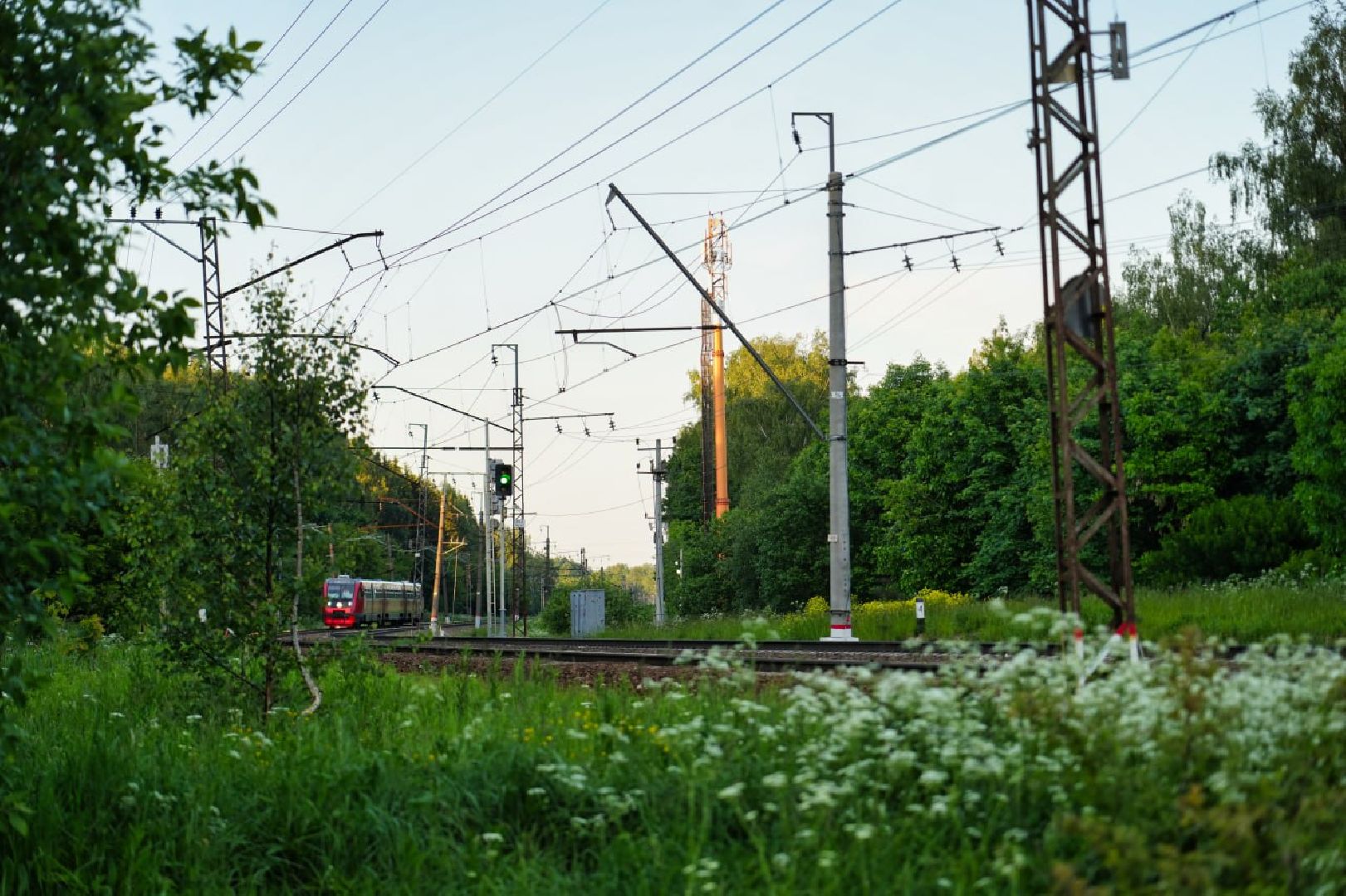 Сергиев Посад, Сергиево-Посадский городской округ, День России, Праздник, Родина, Российская Федерация, Парки, Скверы, Лето в Подмосковье, Молодежь, Жители