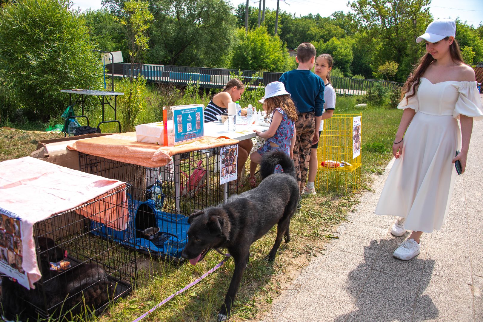 Балашиха, Подмосковье, фестивали, благотворительность