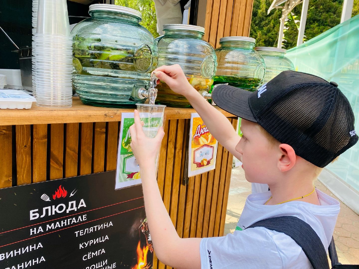 Домодедово, фестиваль еды, парк Елочки, пикник