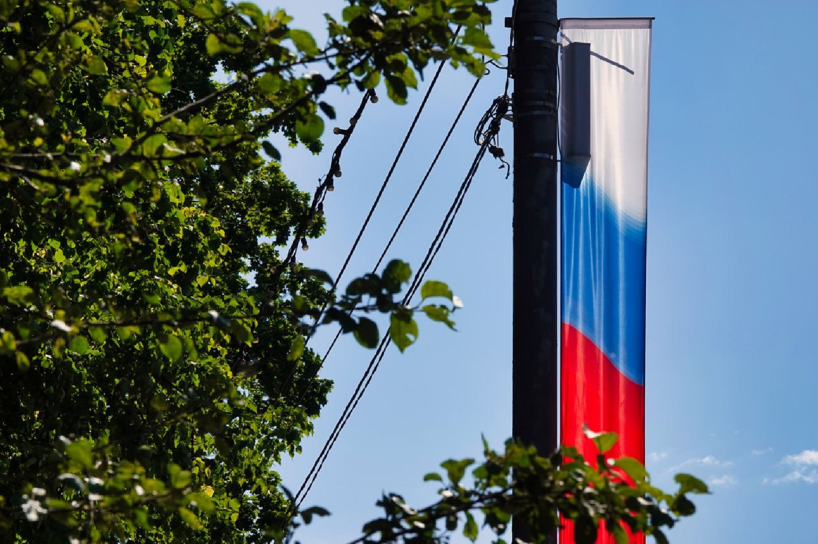 Сергиев Посад, Сергиево-Посадский городской округ, День России, Праздник, Родина, Российская Федерация, Парки, Скверы, Лето в Подмосковье, Молодежь, Жители