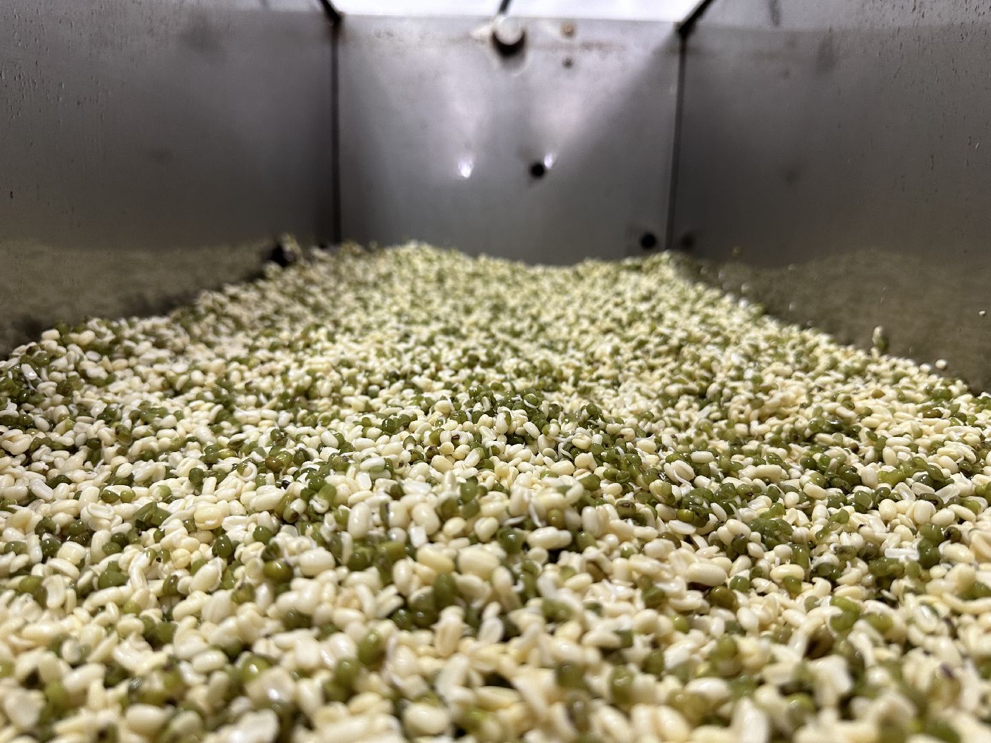 производство, микрозелень, Лосино-Петровский