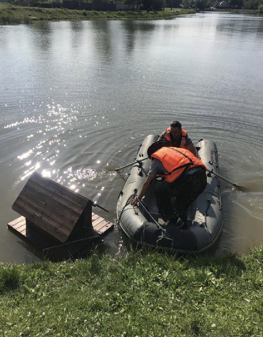 Птицы, лето в подмосковье, благоустройство