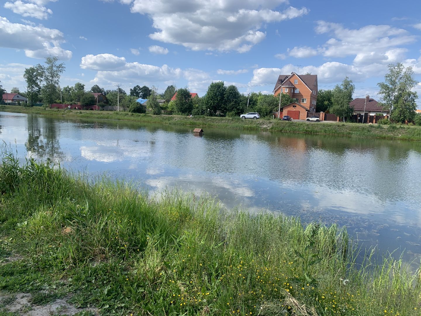 Птицы, лето в подмосковье, благоустройство