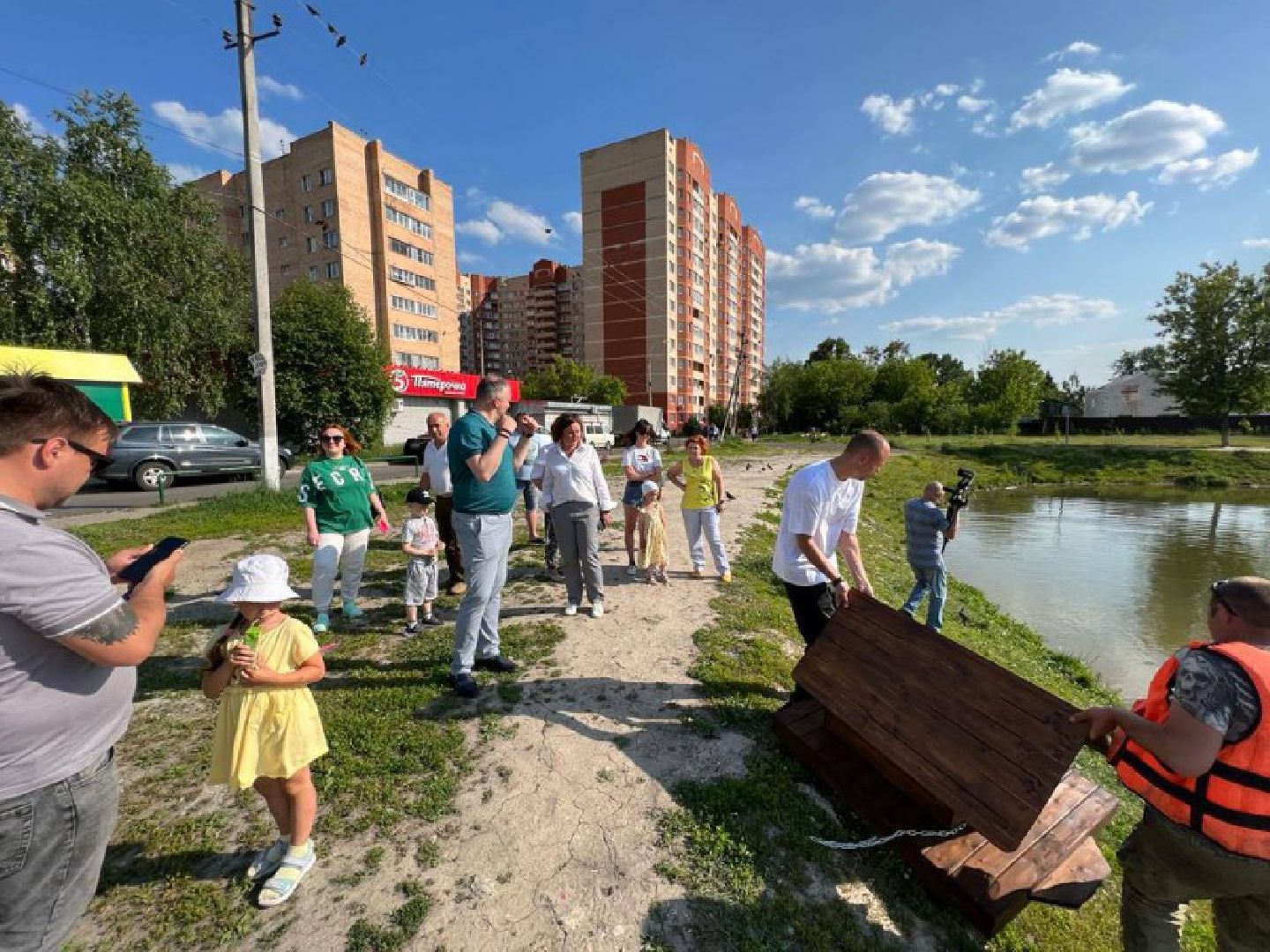 Птицы, лето в подмосковье, благоустройство