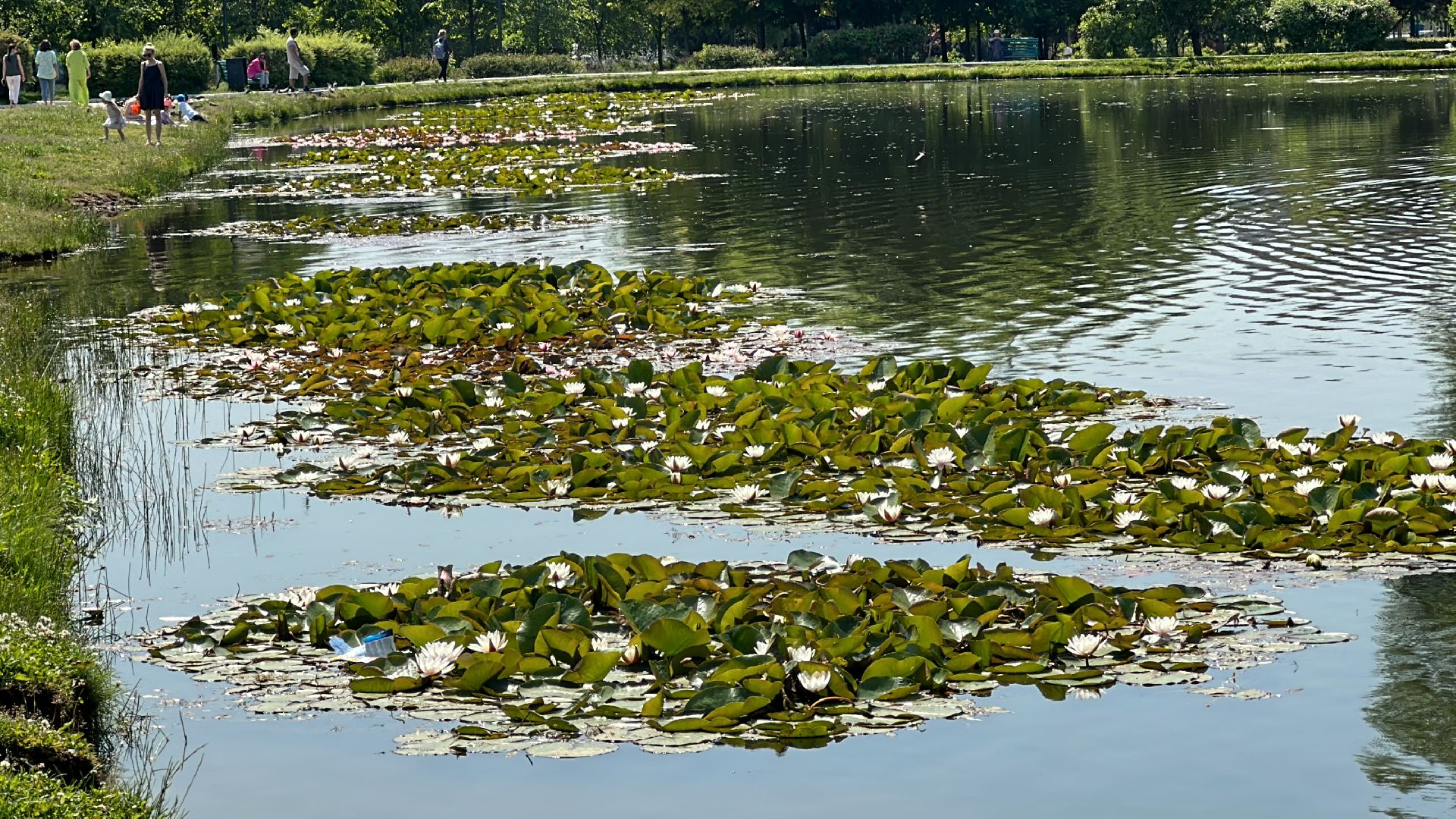 Одинцово, Парки Подмосковья, Лето, Каникулы