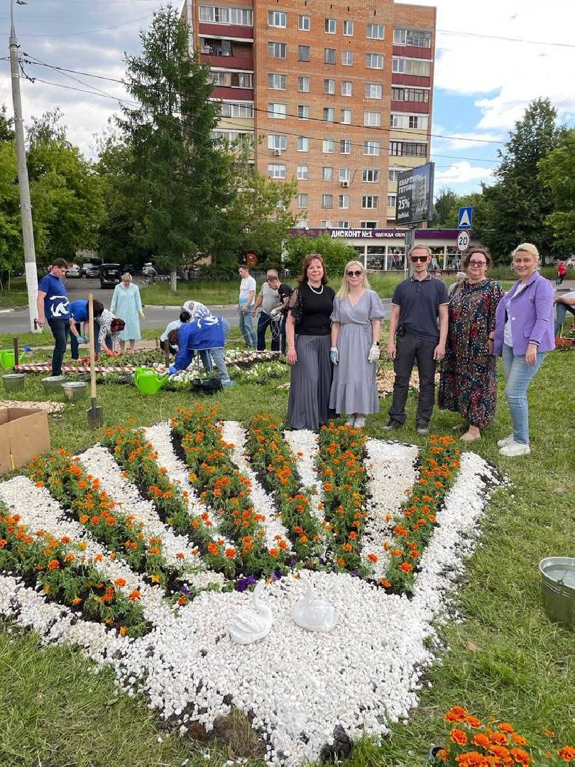 Долгопрудный, цветы, клумба, бархатцы, перемены, педагоги