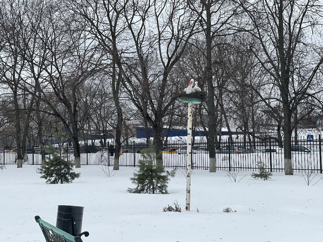 Медицина, роддом, Люберцы