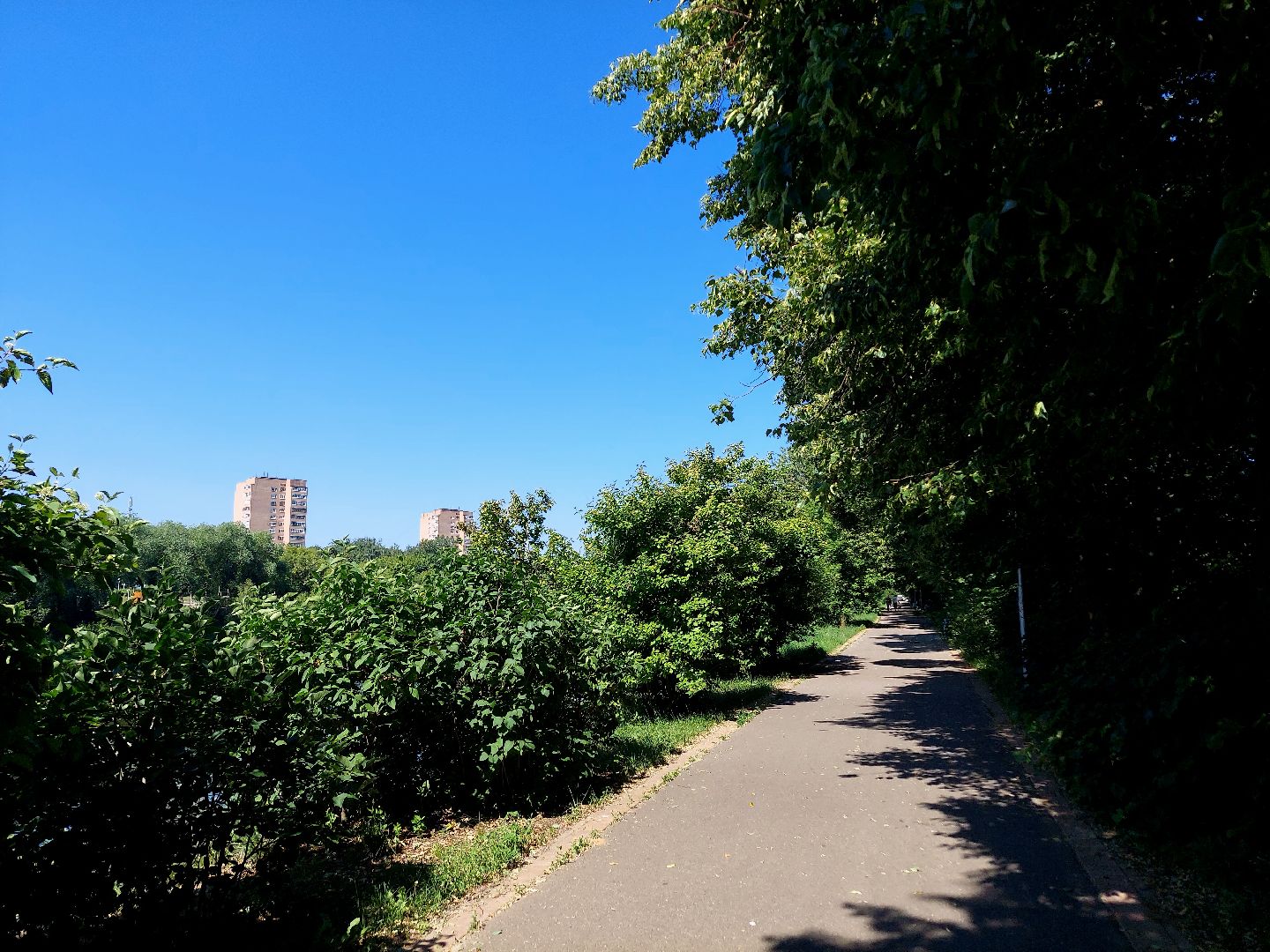 благоустройство, набережная, Воскресенск