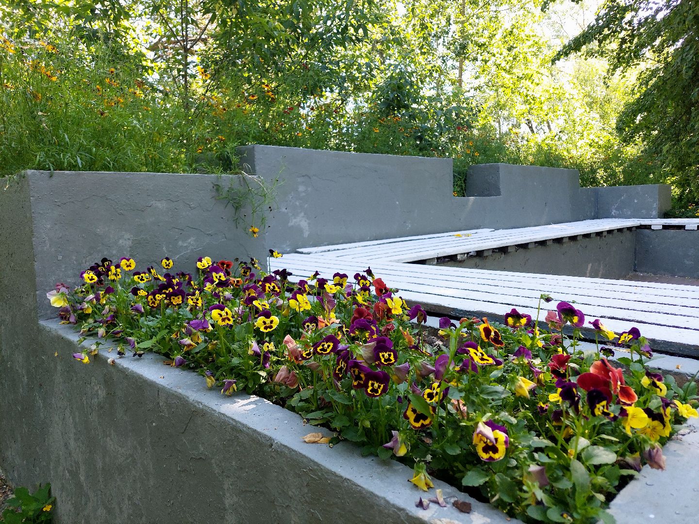 благоустройство, набережная, Воскресенск