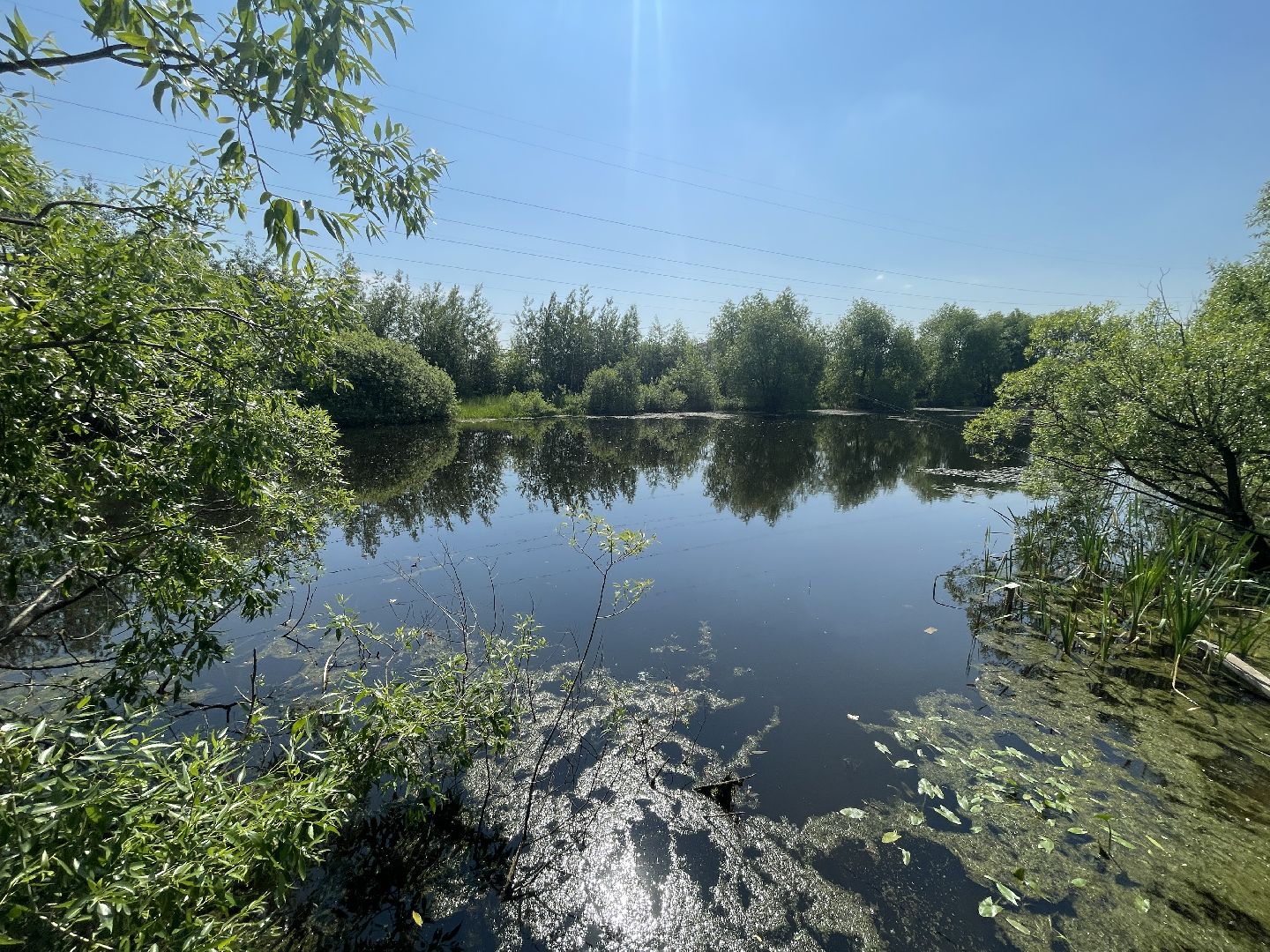 Одинцово, спасатели, водоёмы, пруд, река, безопасность,