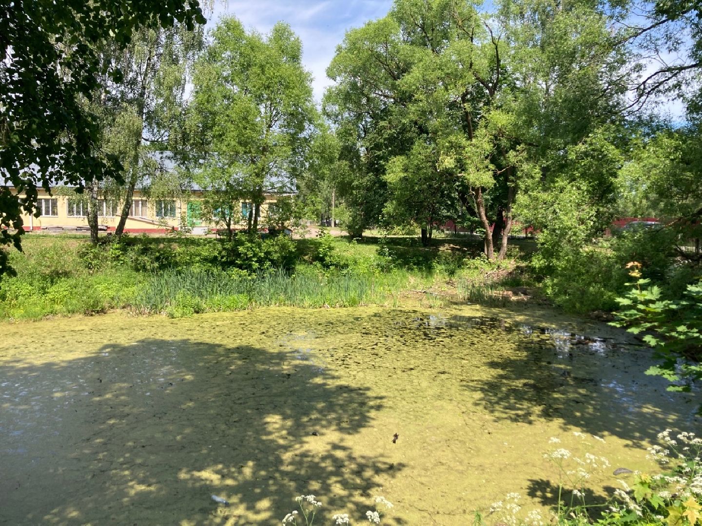 Солнечногорск, ЦМИС, благоустройство, экология, зона отдыха