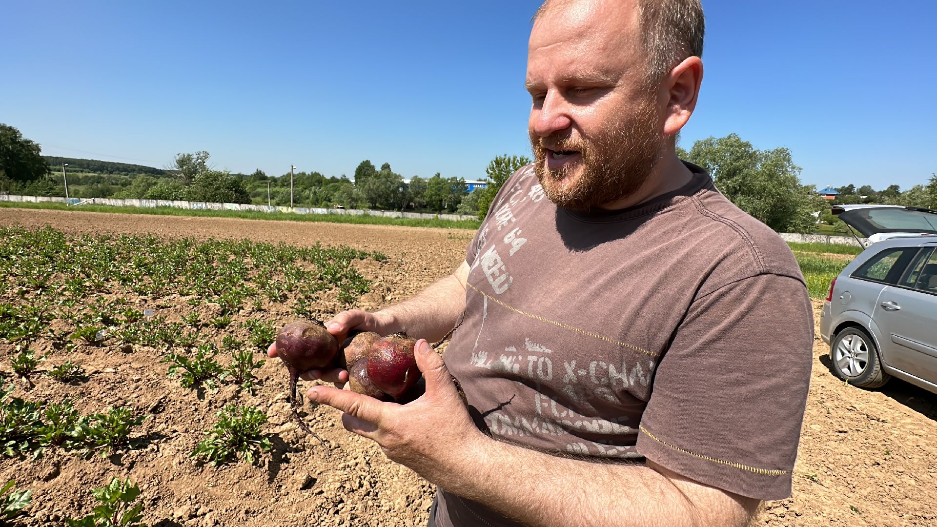 ВНИИСОК, Центр Овощеводства, Продовольственная безопасность