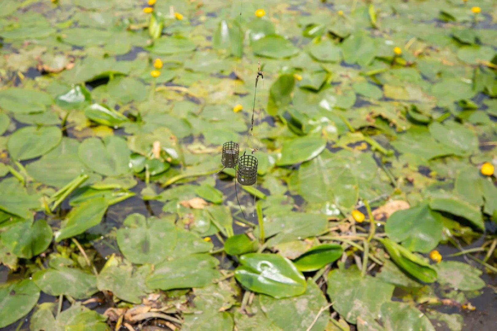Спорт, рыбная ловля, рыбалка, Подмосковный берег, Орехово-Зуево