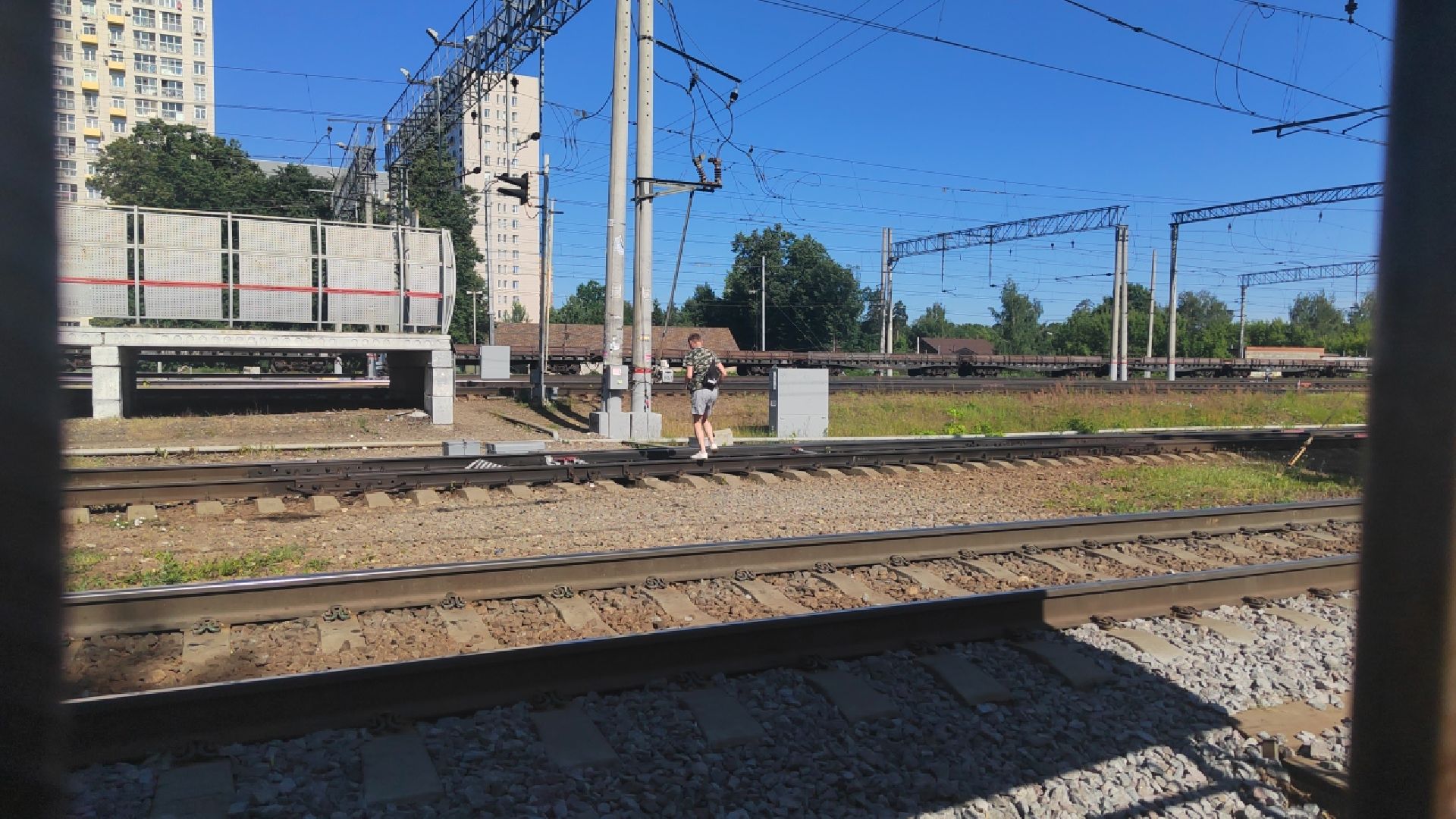 Пушкино, МОД, Олег Гаджиев, Мособлдума, Полиция, рейд, РДЖ, безопасность, транспорт, МВД,