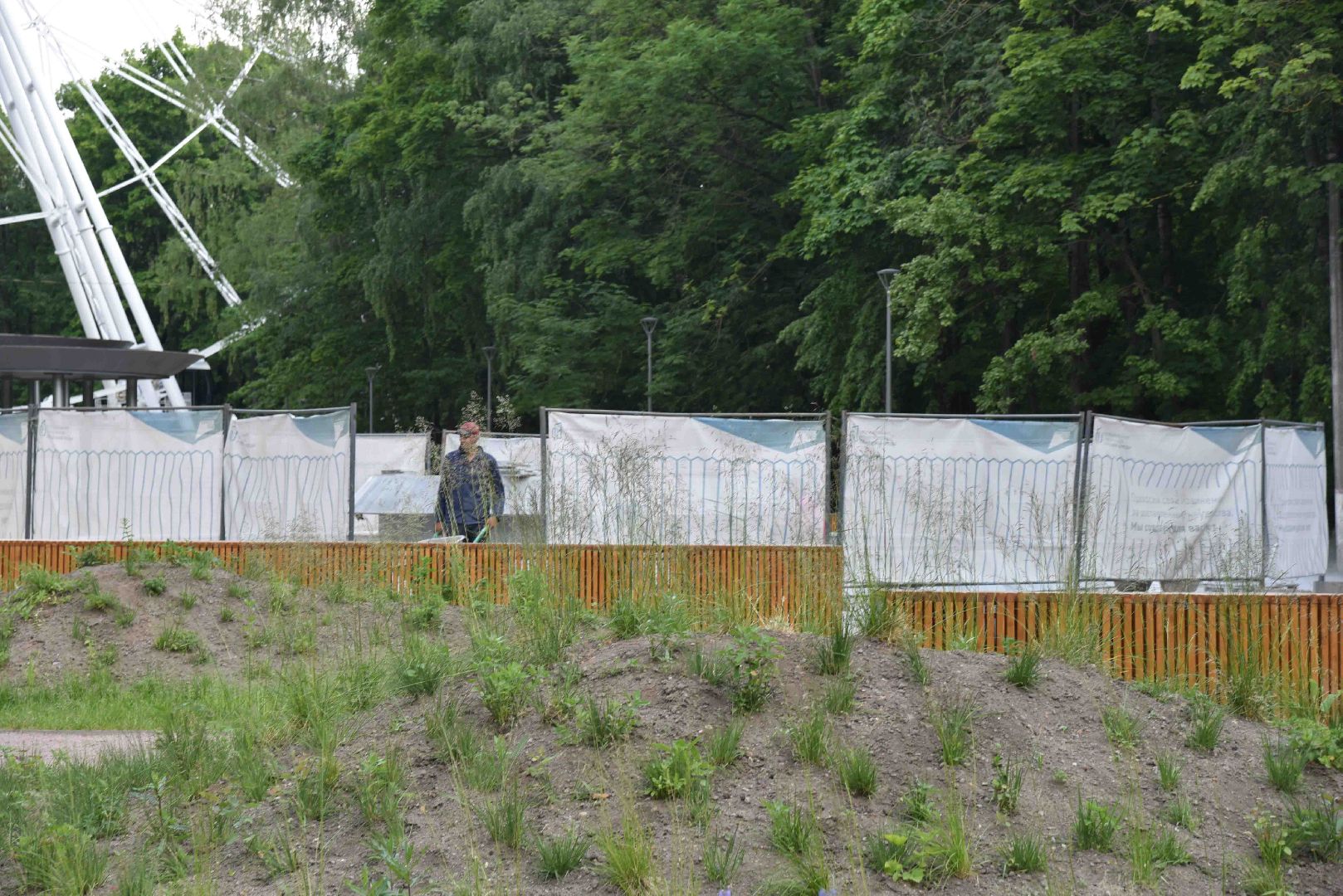 Химки, парк, благоустройство