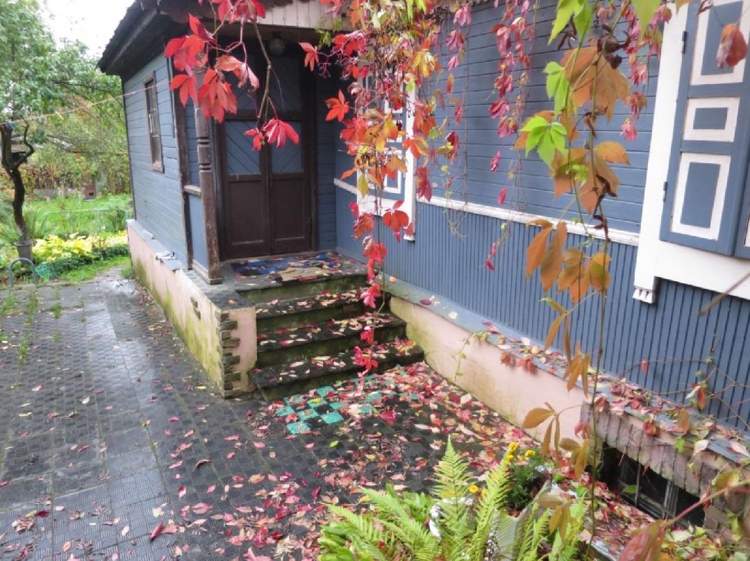 Звенигород, культура, история, архитектура, наследие, культурное наследие