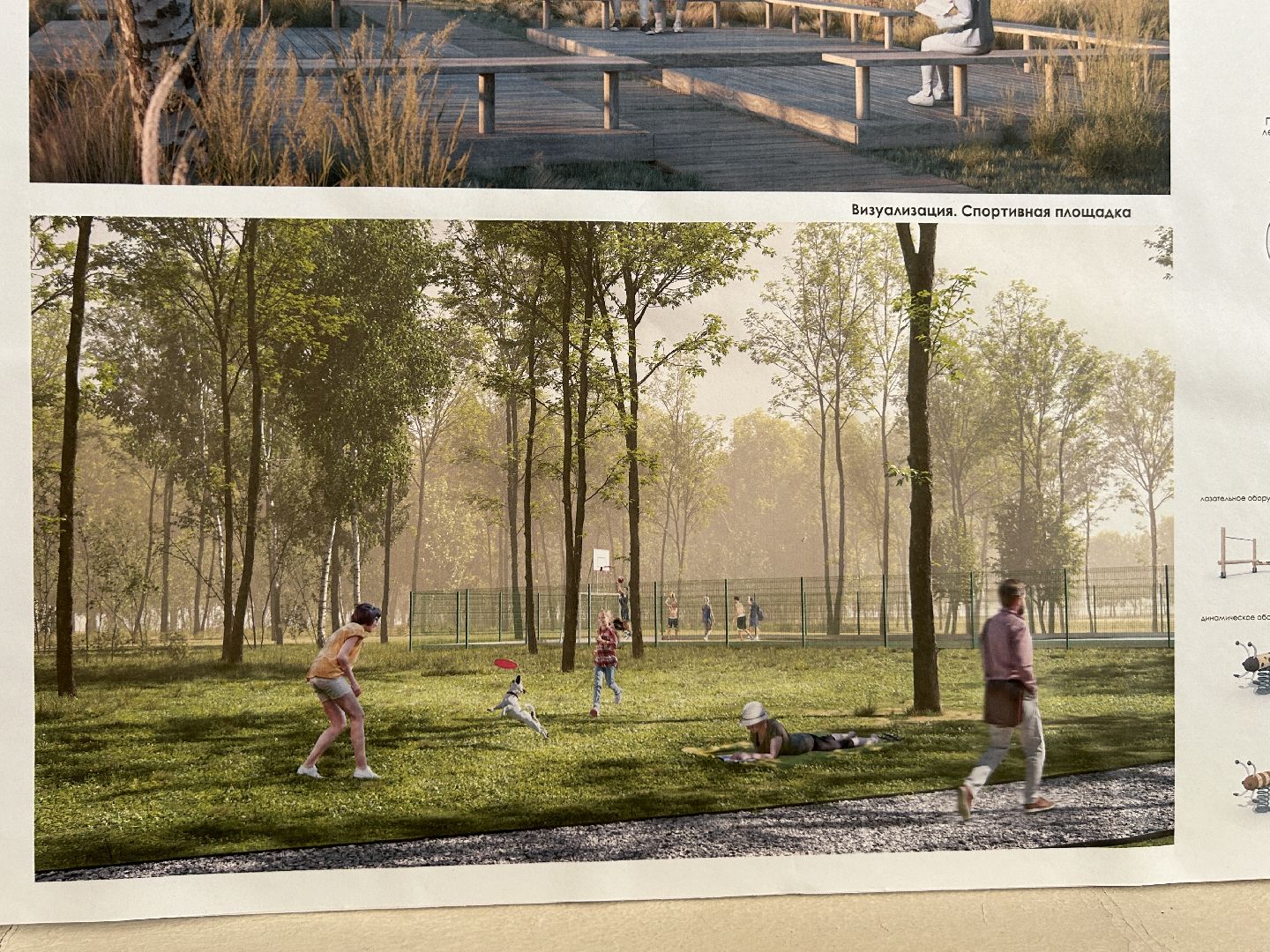 благоустройство, лесопарк, Фрязино