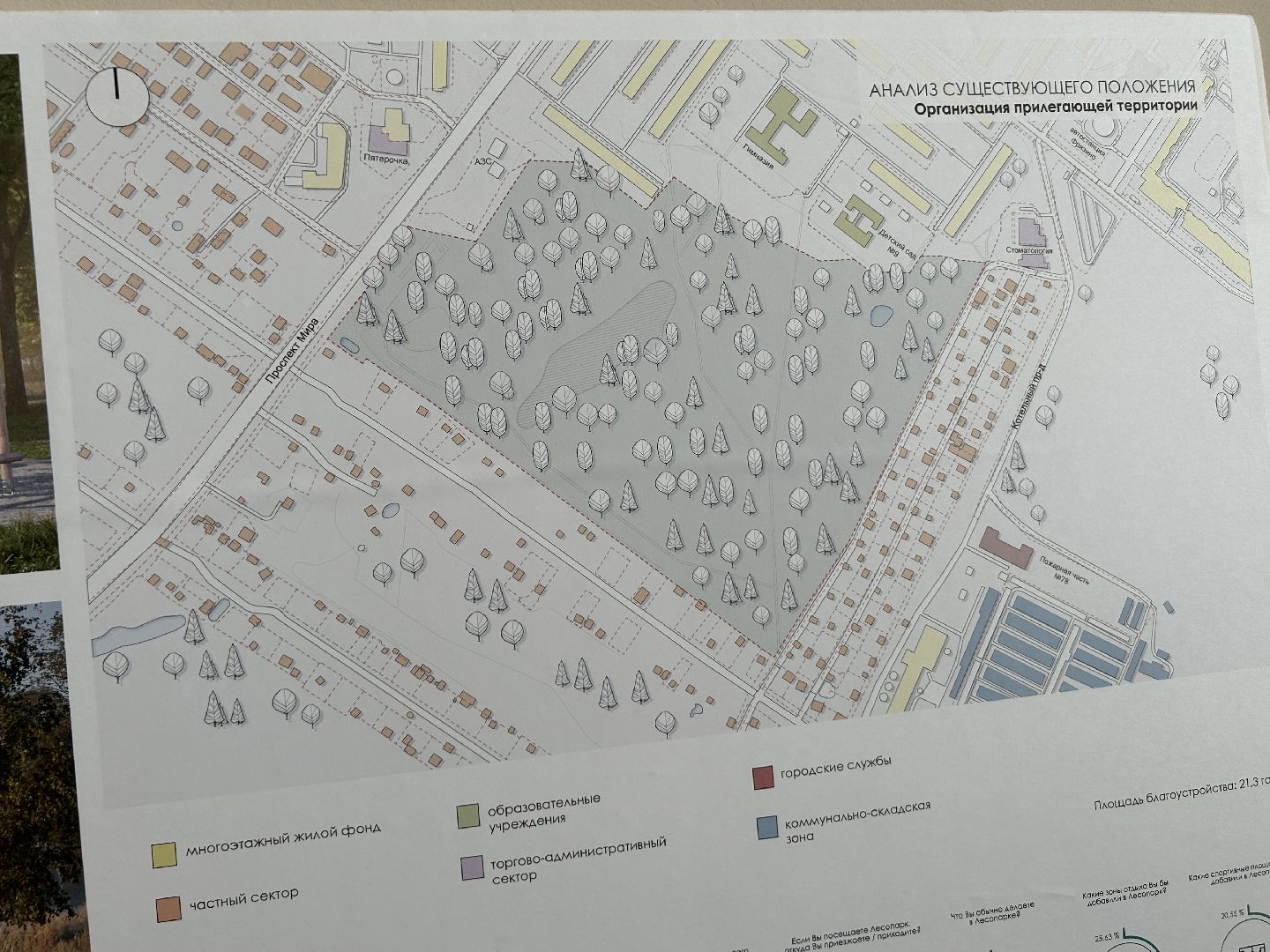 благоустройство, лесопарк, Фрязино