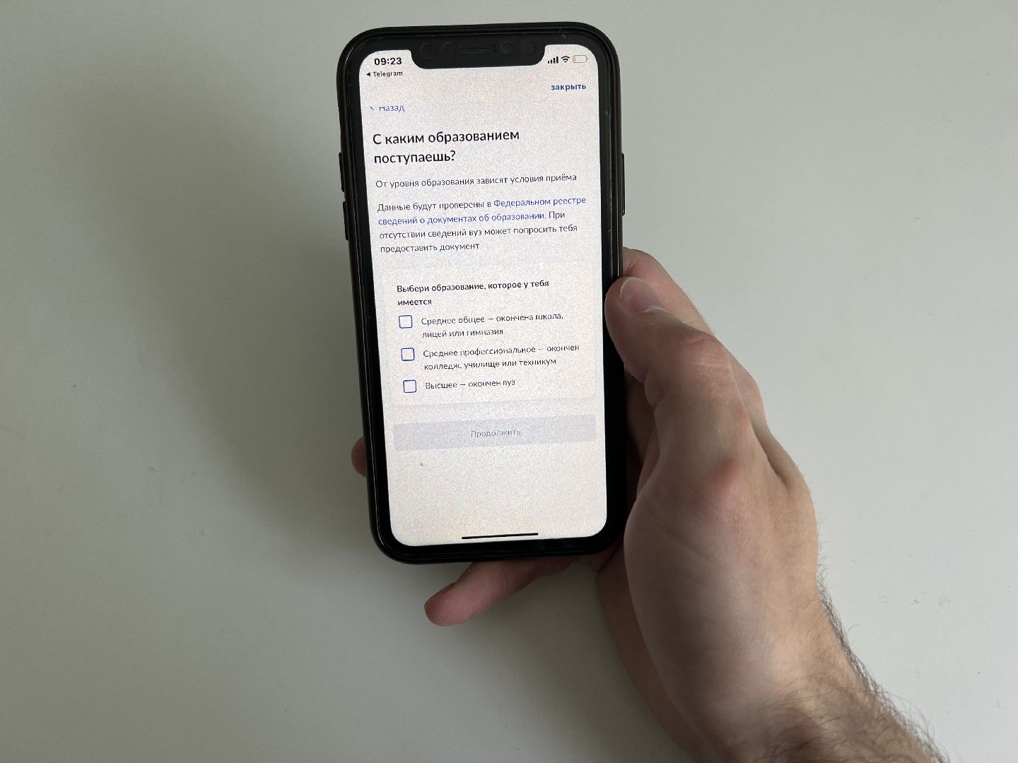 Химки, образование, Госуслуги, поступление, выпускники