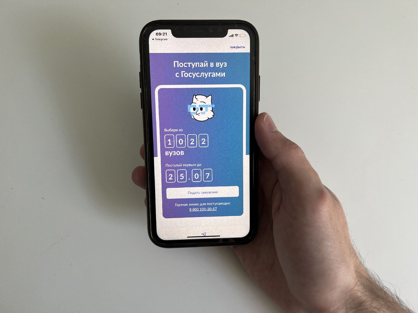 Химки, образование, Госуслуги, поступление, выпускники