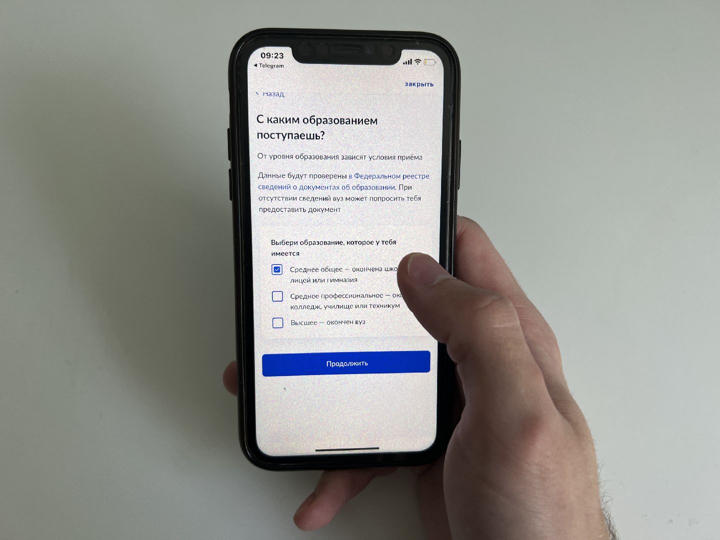 Химки, образование, Госуслуги, поступление, выпускники