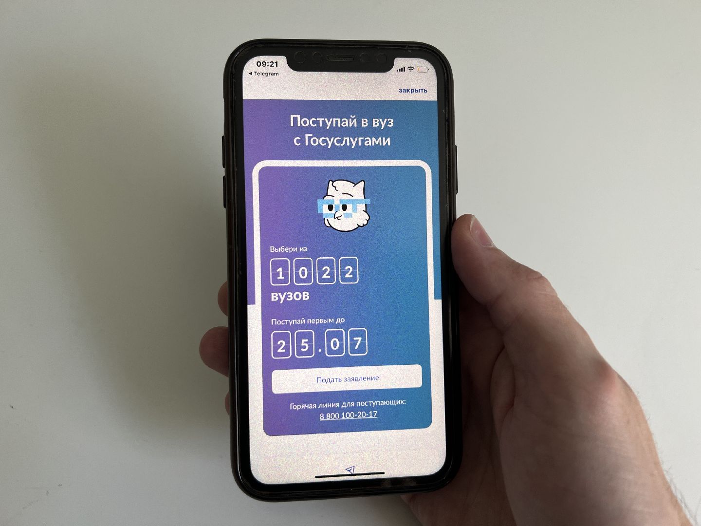 Химки, образование, Госуслуги, поступление, выпускники