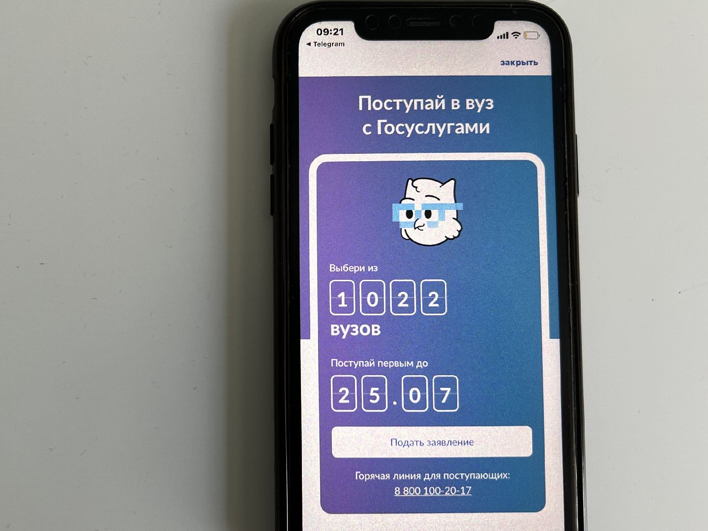 Химки, образование, Госуслуги, поступление, выпускники