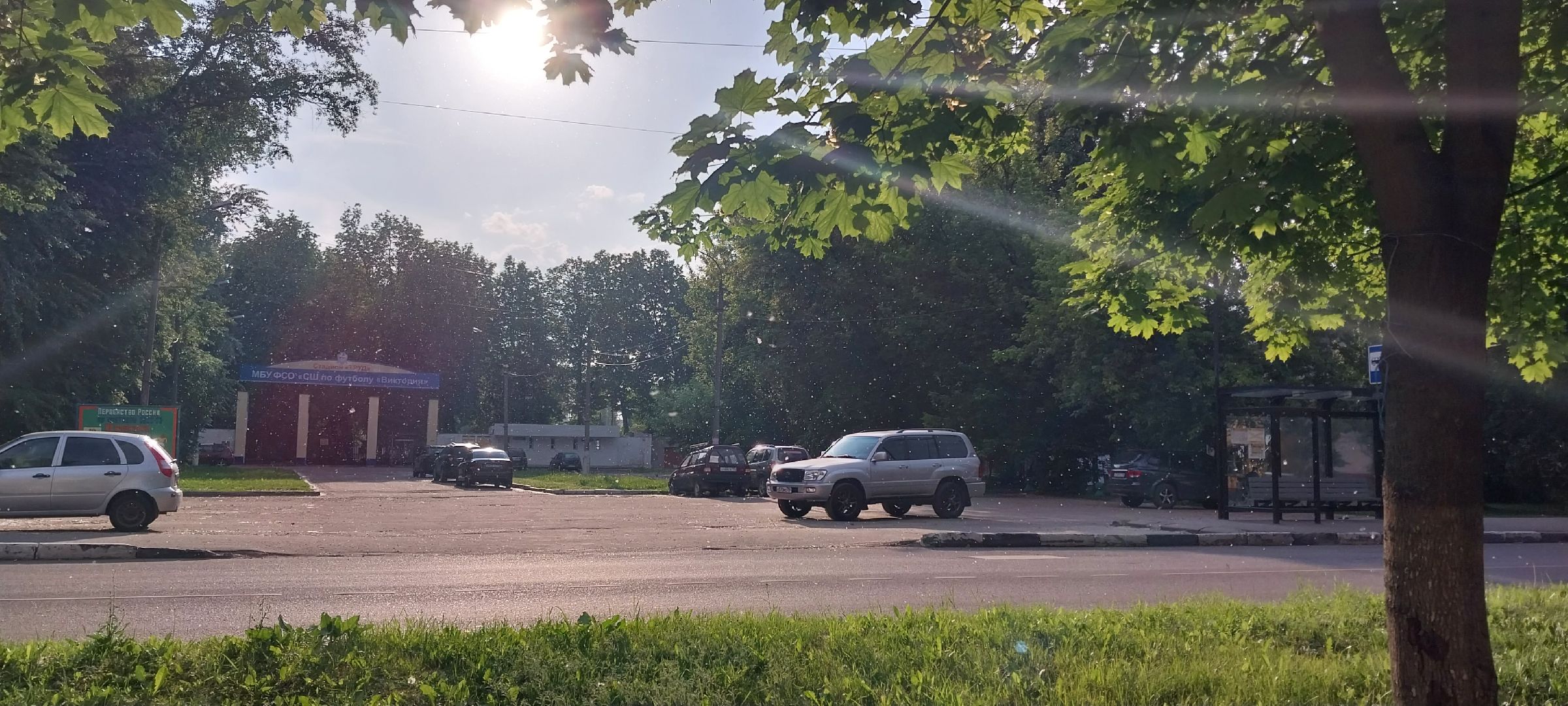 коломна, тополиныйпух, аллергия