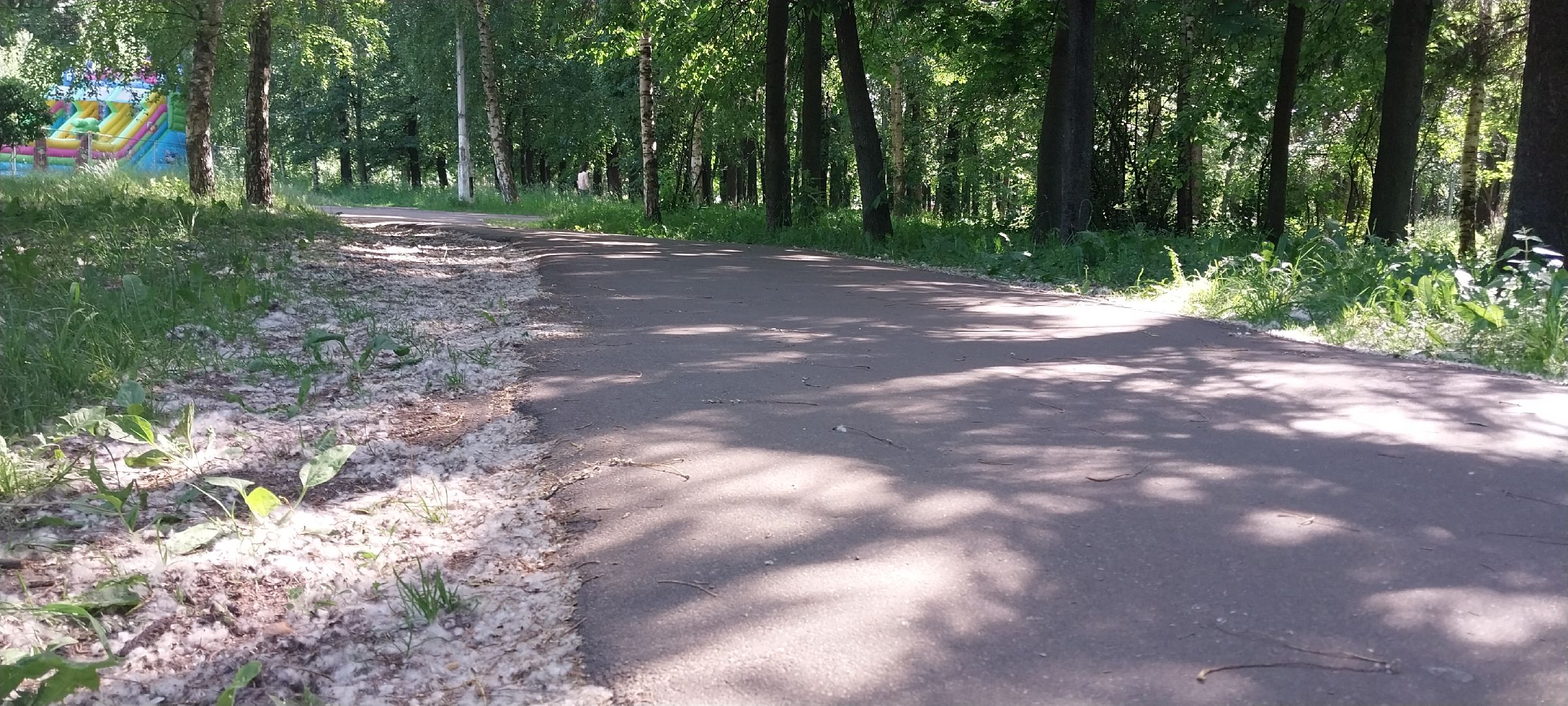 коломна, тополиныйпух, аллергия