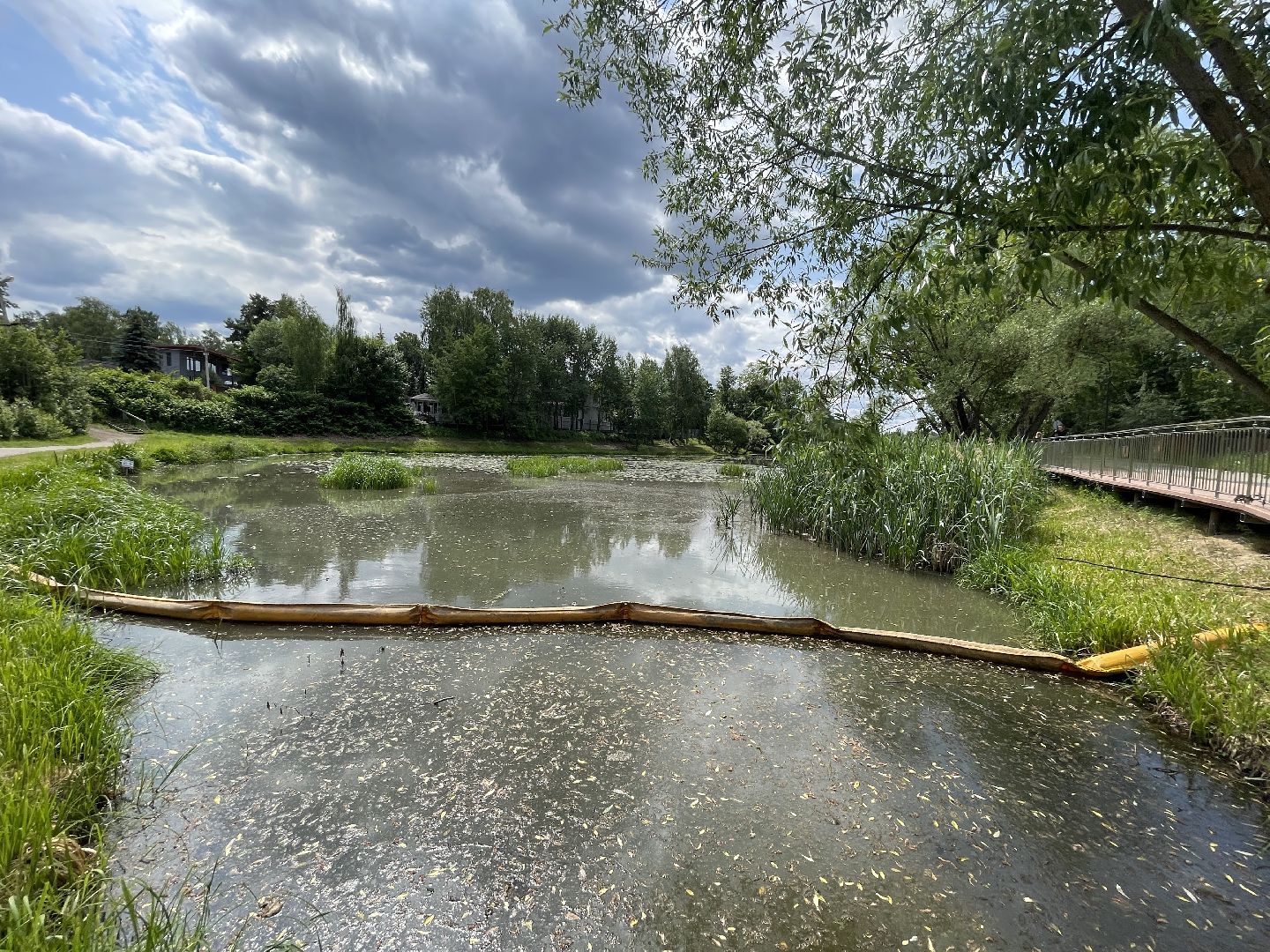Одинцово, Немчиновка, экология, министерство экологии и природопользования, пруд, очистка,
