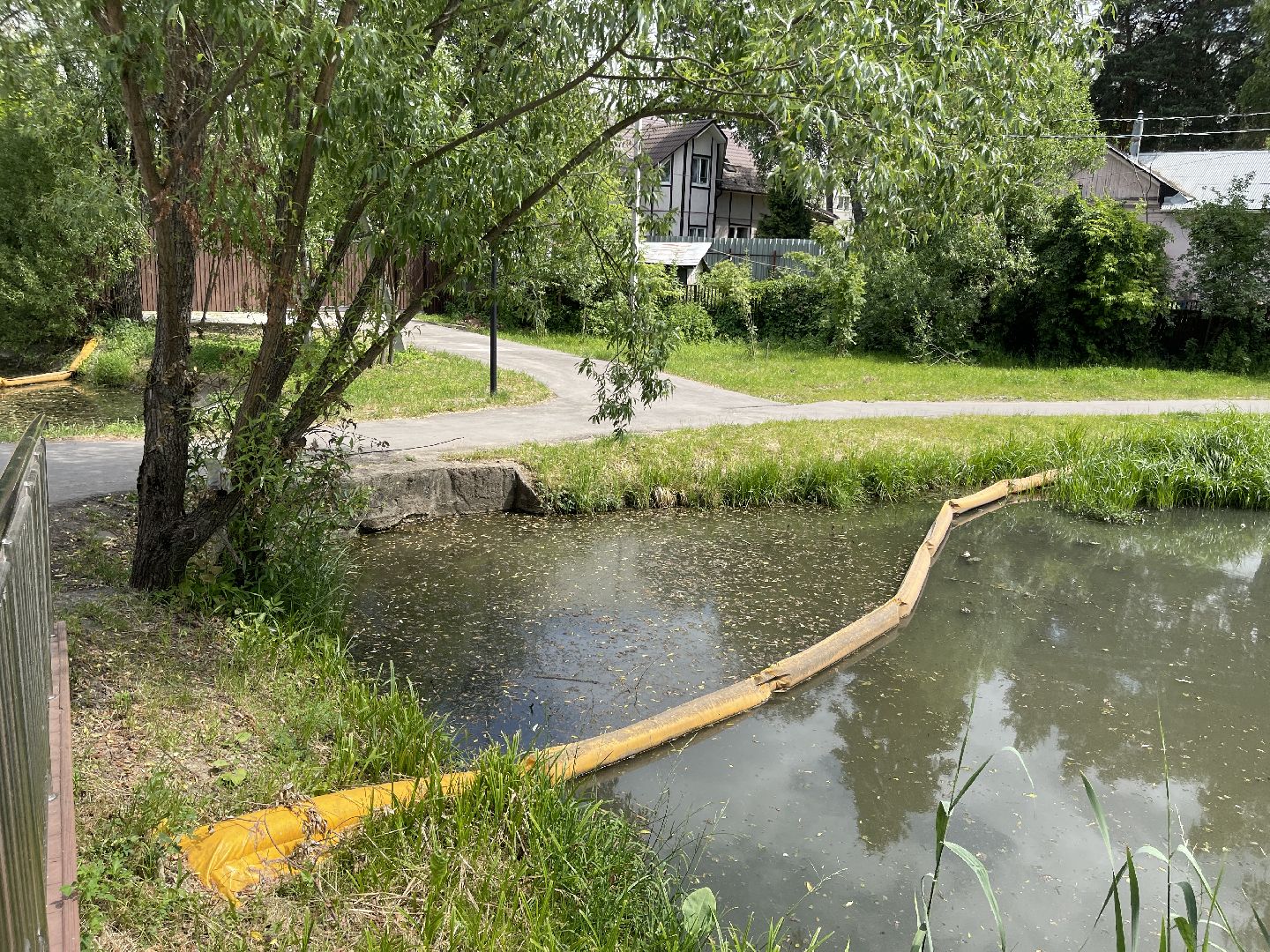 Одинцово, Немчиновка, экология, министерство экологии и природопользования, пруд, очистка,