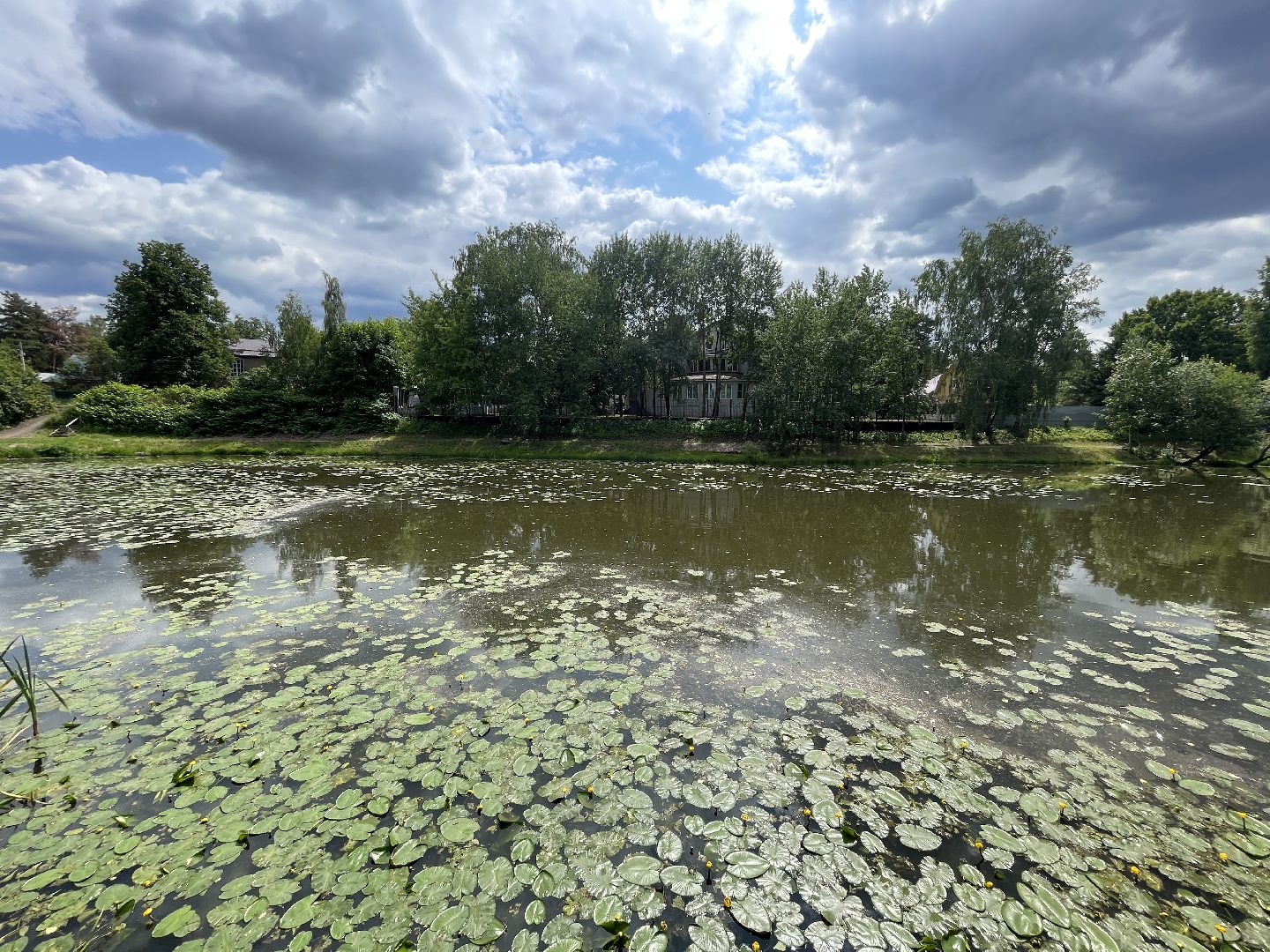 Одинцово, Немчиновка, экология, министерство экологии и природопользования, пруд, очистка,