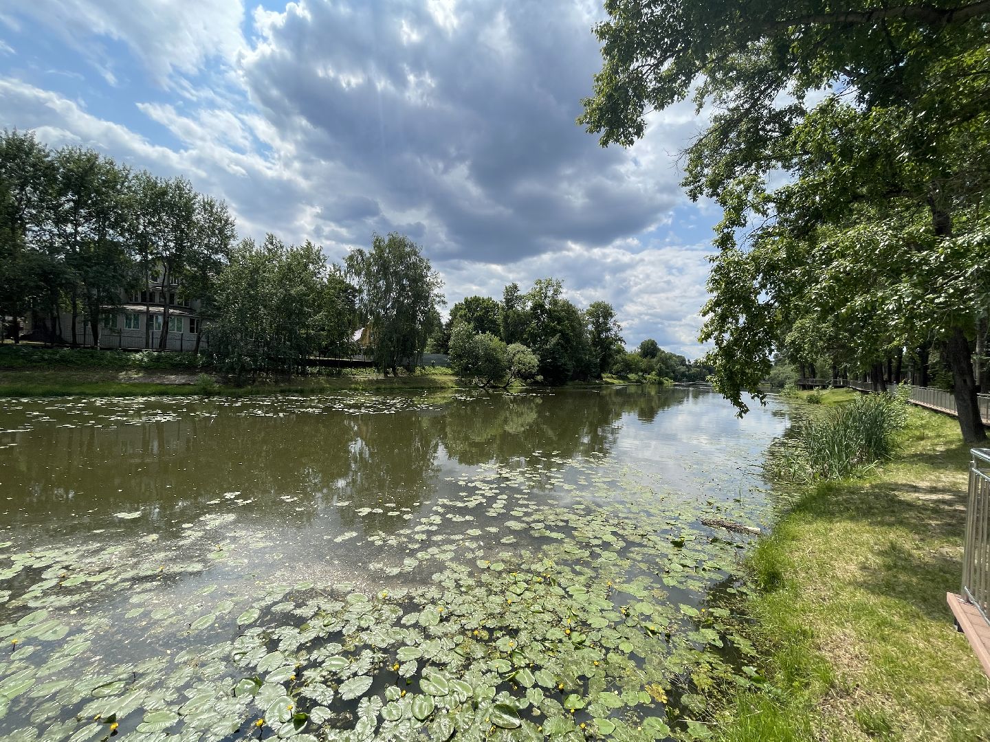 Одинцово, Немчиновка, экология, министерство экологии и природопользования, пруд, очистка,