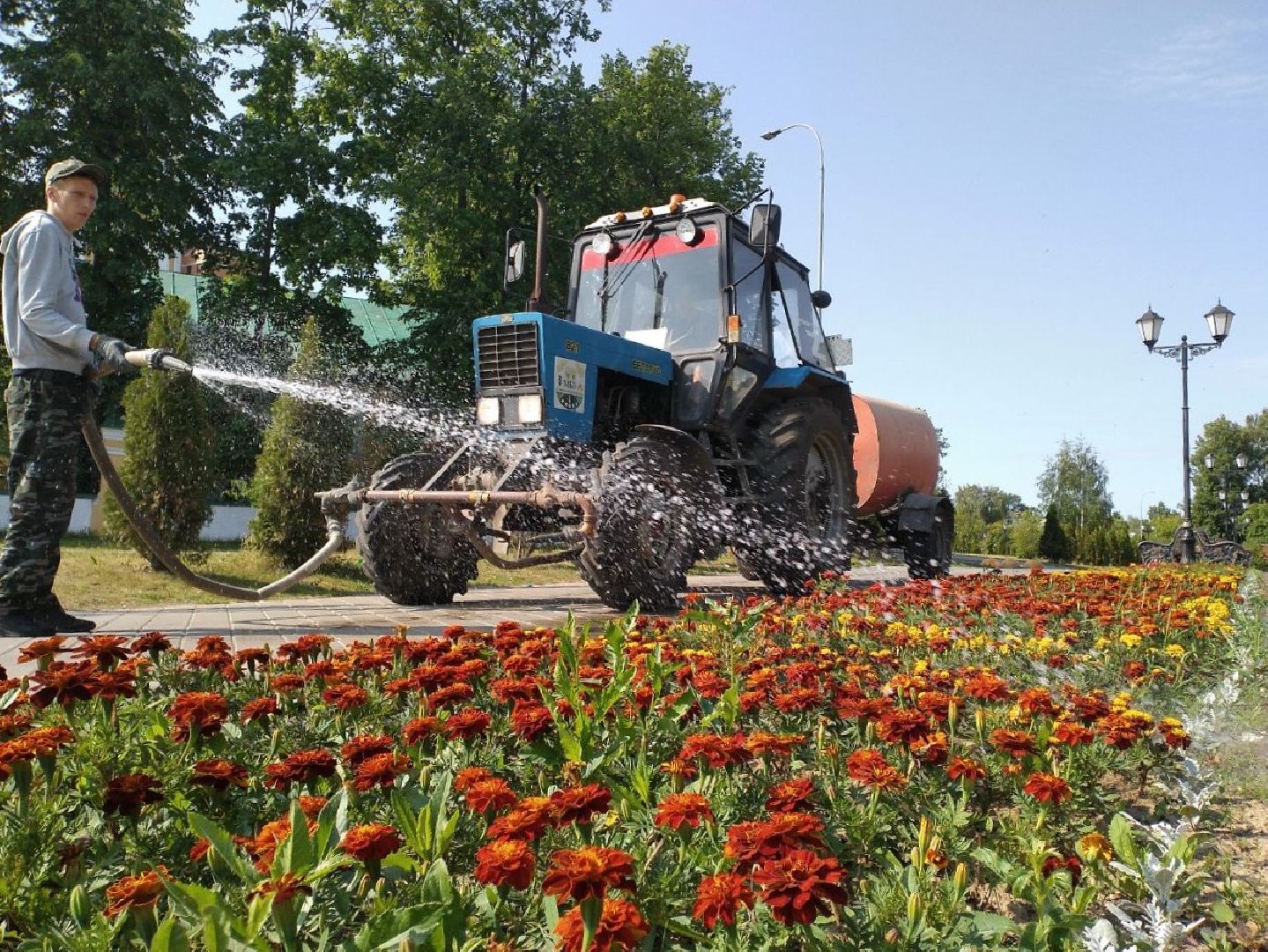 благоустройство, лето, жара, полив, клумбы, Лосино-Петровский