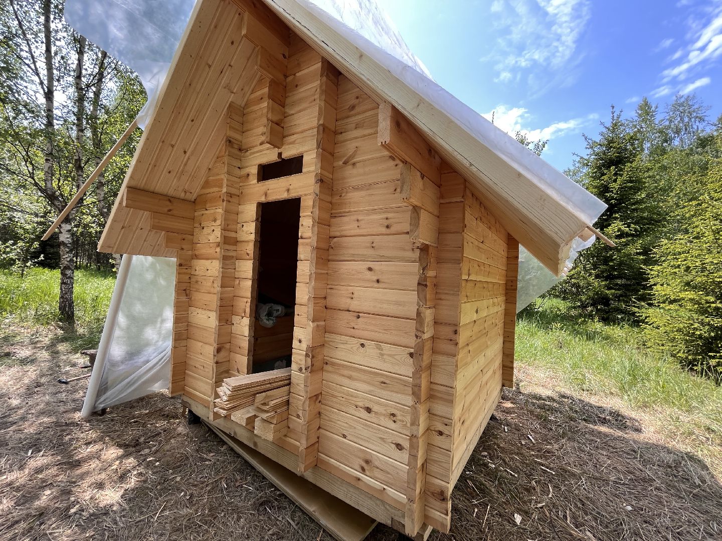 Шаховская, пчелы, апидомик