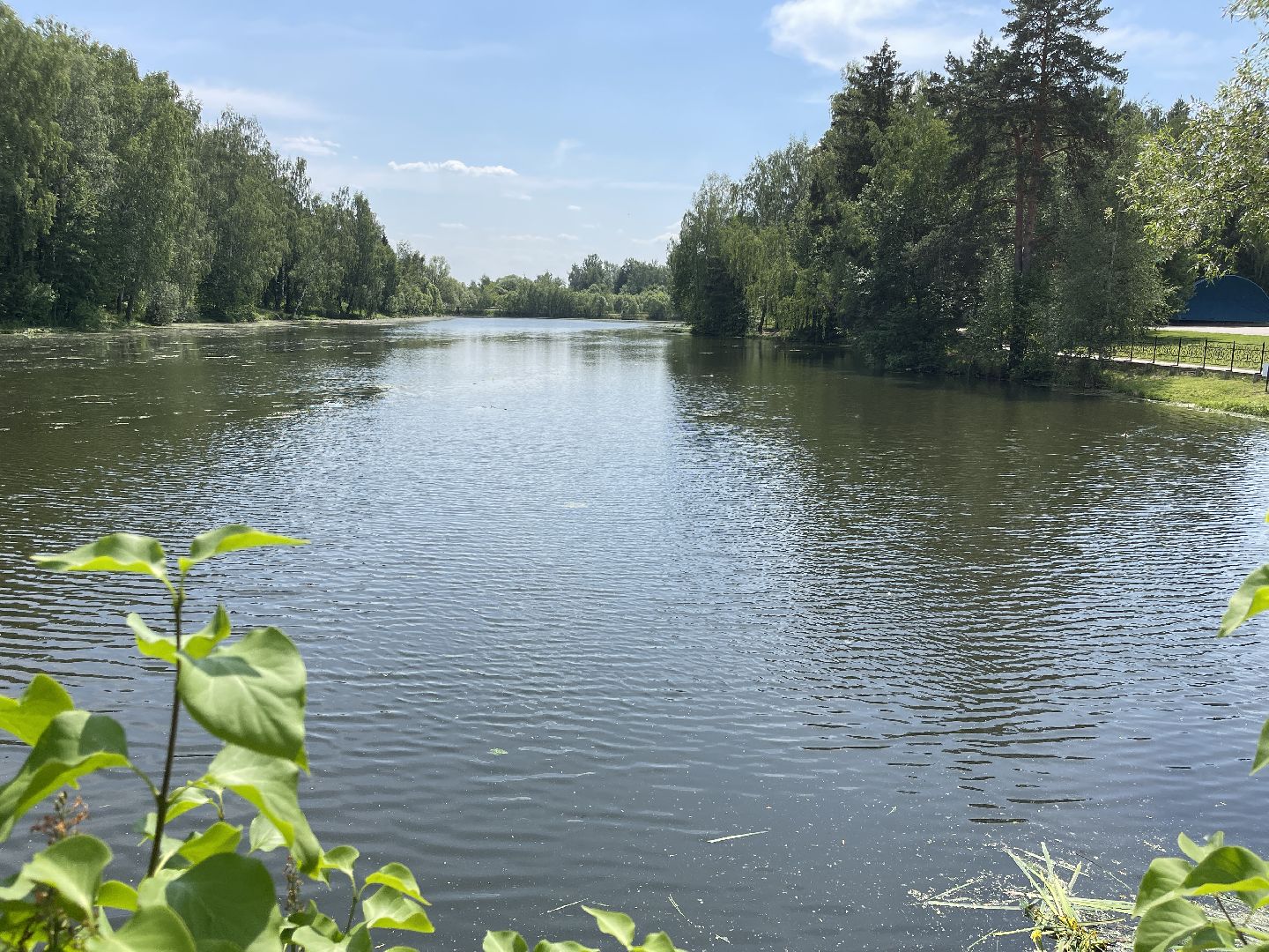 Одинцово, Захарово, экология, министерство экологии и природопользования, пруд, очистка,
