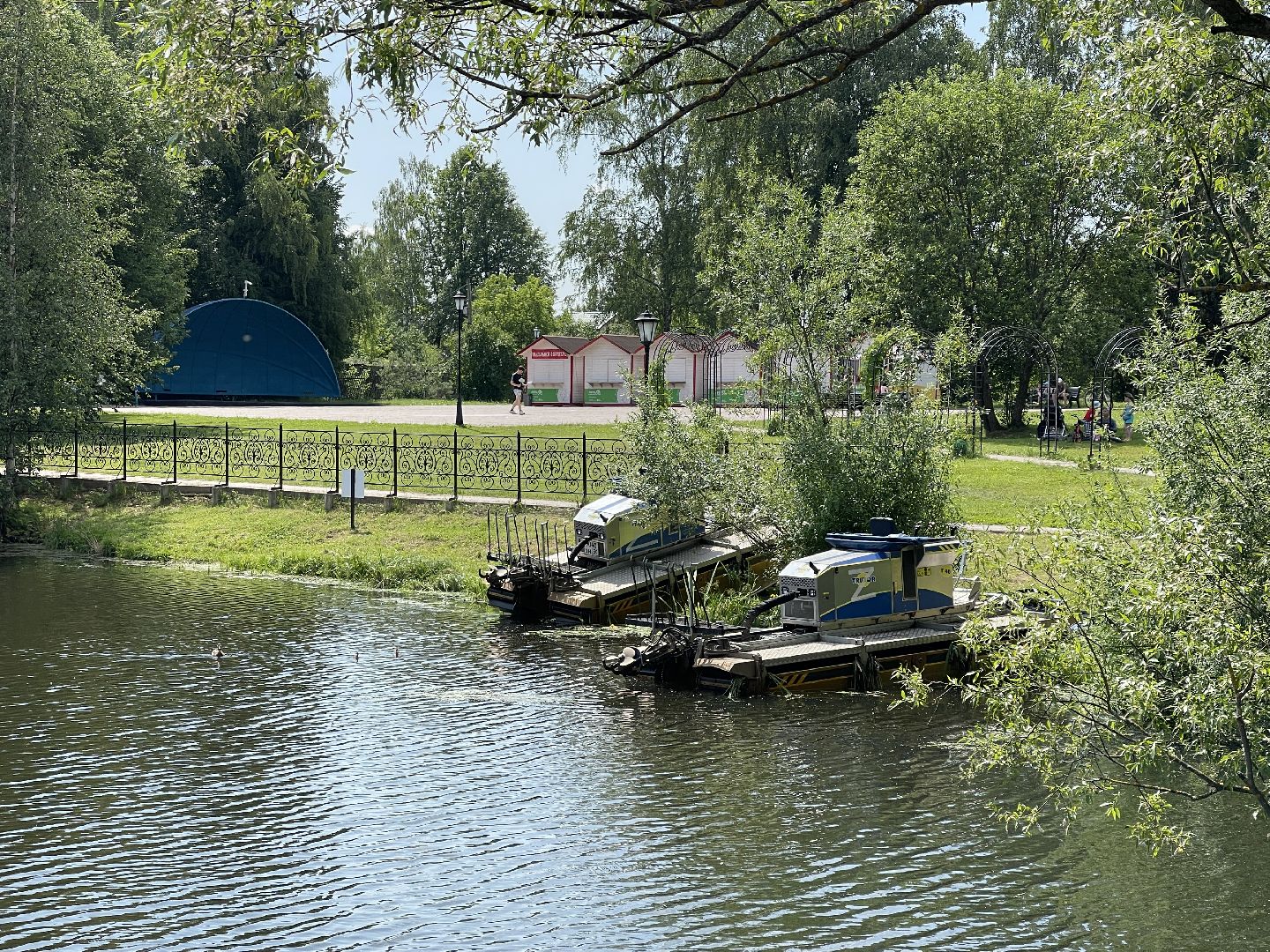 Одинцово, Захарово, экология, министерство экологии и природопользования, пруд, очистка,