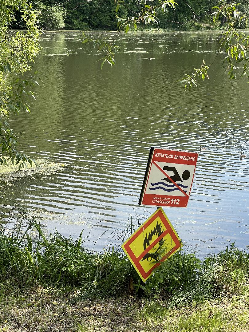 Одинцово, Захарово, экология, министерство экологии и природопользования, пруд, очистка,