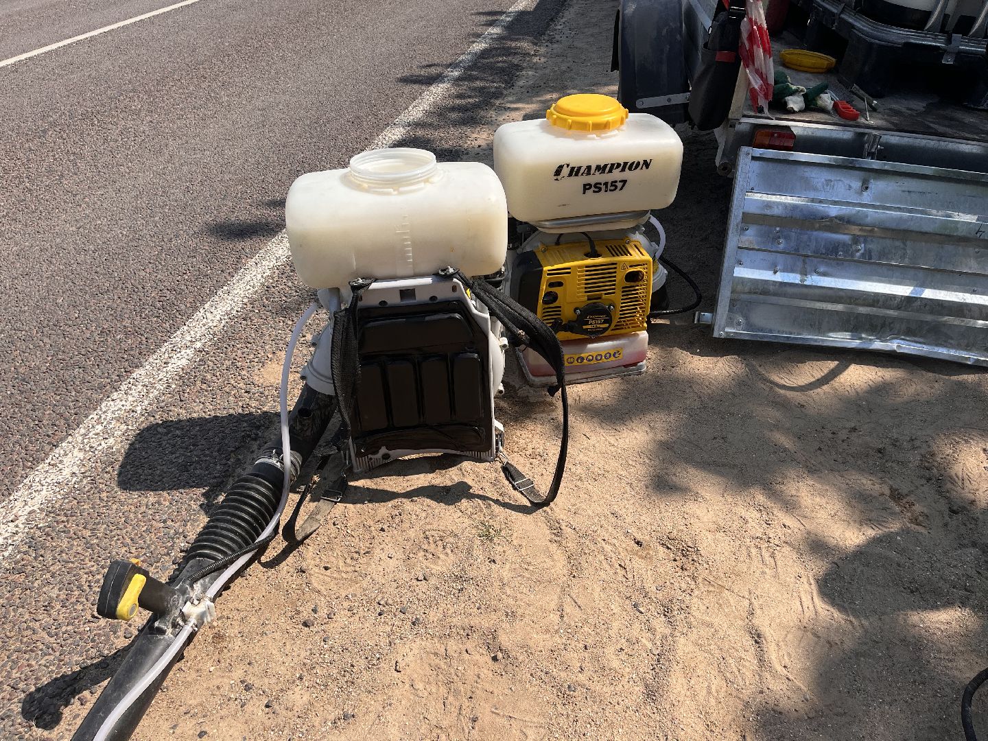 Шаховская, борщевик, экология