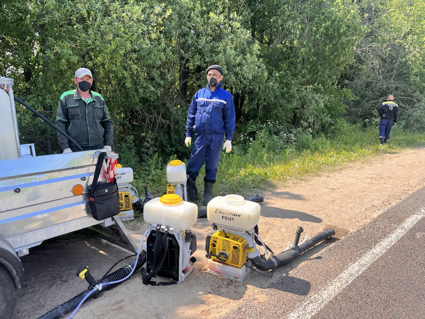 Шаховская, борщевик, экология