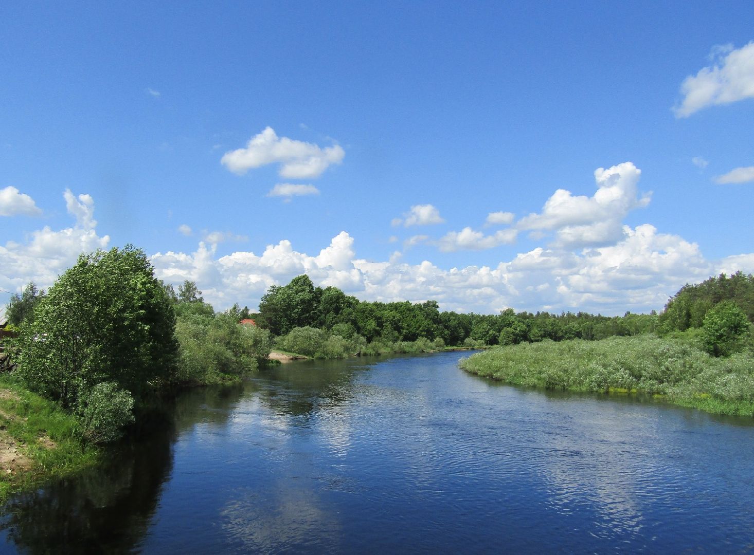 искусство, пенсионеры,