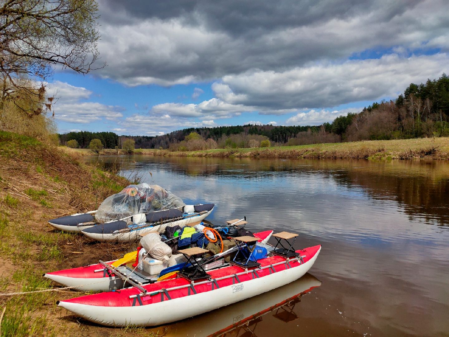 искусство, пенсионеры,