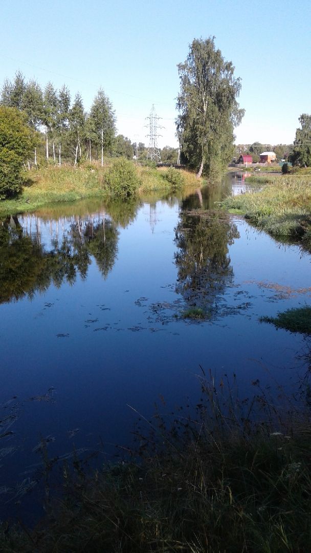 искусство, пенсионеры,