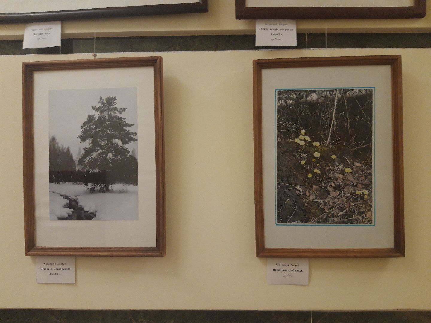 искусство, пенсионеры,