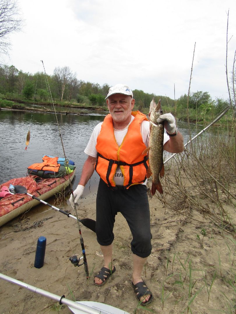 искусство, пенсионеры,